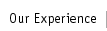 Our Experience